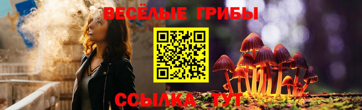 Чебаркуль  наркота  Вход с VPN  Псилоцибиновые грибы Psilocybe 